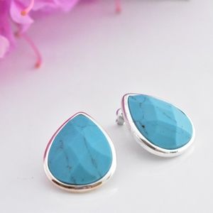 Turquoise Blue Faux Earrings